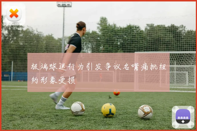 极端球迷行为引发争议名嘴痛批纽约形象受损