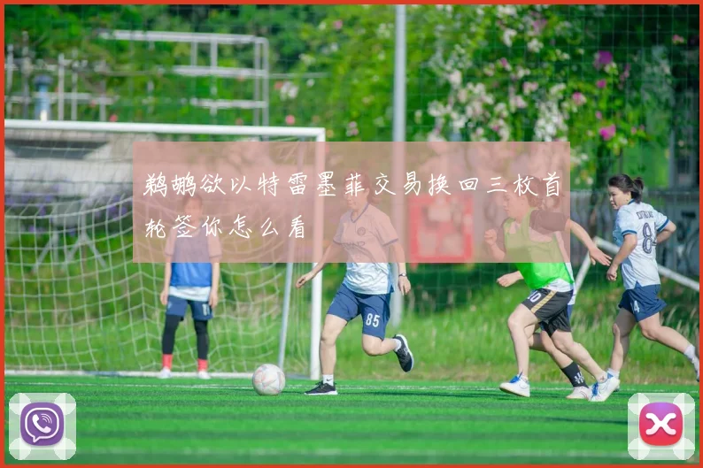 鹈鹕欲以特雷墨菲交易换回三枚首轮签你怎么看